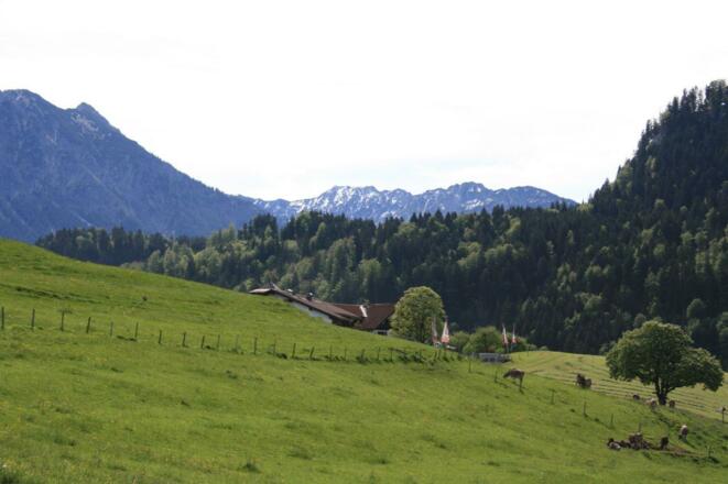 Bergblick von der Ferienwohnung Bergblick