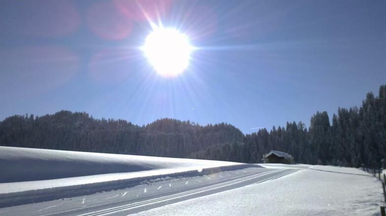 Loipe direkt am Haus