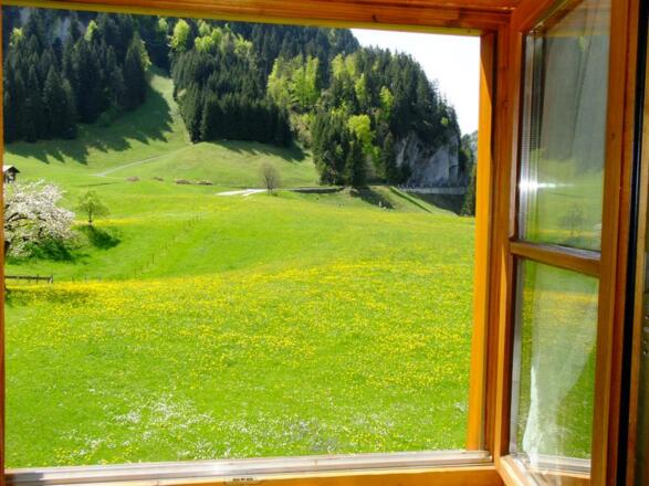 Blick vom Haus bzw Wohnung