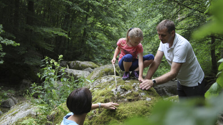 Pesenbachtal_Oberoesterreich-Tourismus-GmbH_Martin-Fickert (4)_web