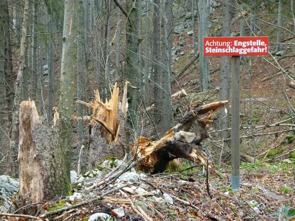 Schiebestrecke am Steyrsteg, Absturzgefahr und Gegenverkehr! © Nationalpark Kalkalpen