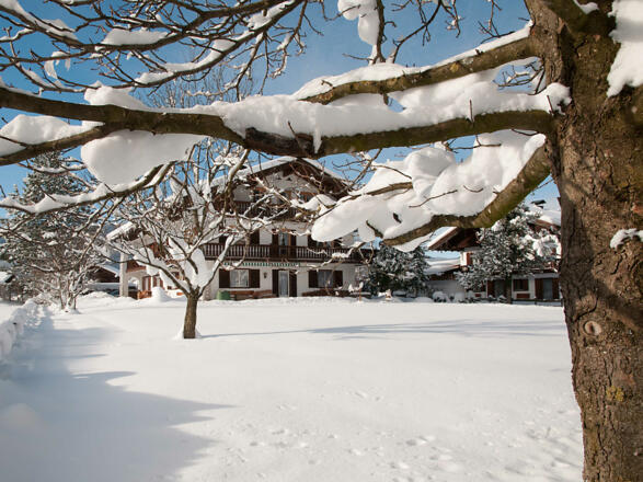 Gästehaus Höpfl - Wintermärchen in ruhiger und sonniger Lage am Fusse des Wallbergs