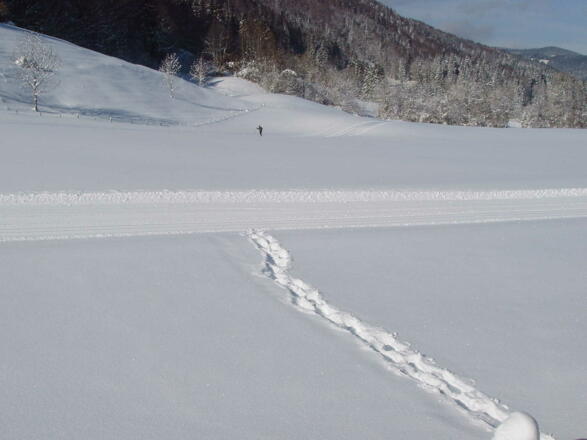 Direkt hinter unserem Haus führt eine schöne und weitläufige Langlaufloipe vorbei.
