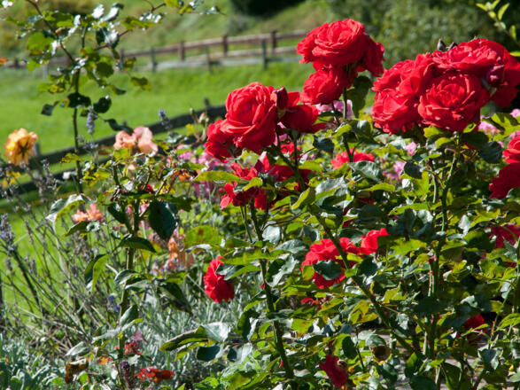 Gästehaus Unterreiterhof in Bad Wiessee - mit Traumblick über das Tegernseer Tal