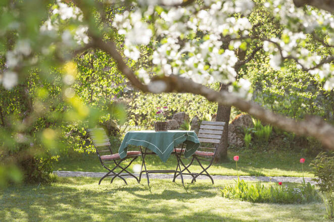 Unser schöner Garten