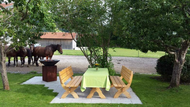 Grillen unterm Apfelbaum