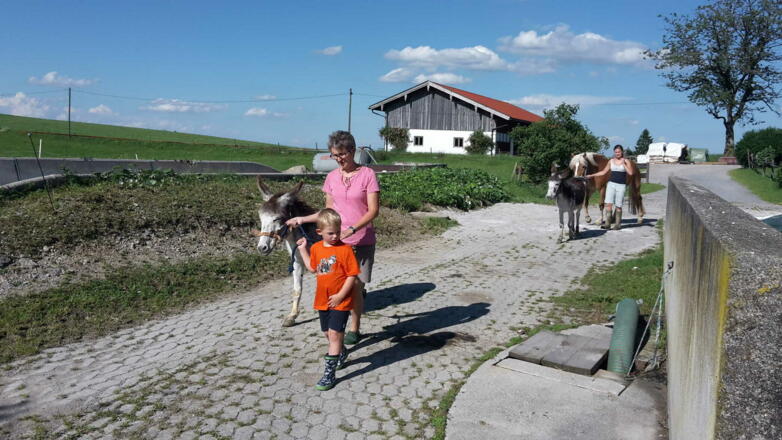 es ist Stallzeit- wir holen unsere Tiere von der Weide