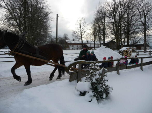 kleine Schlittenfahrt mit dem Pferd