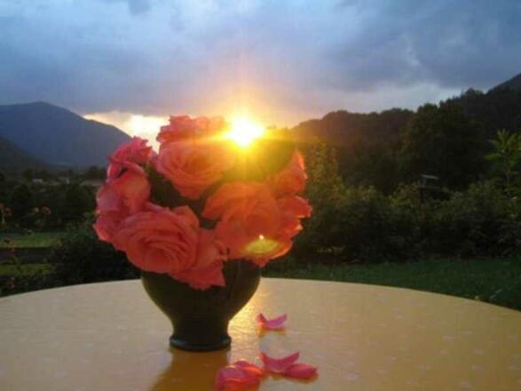 Traumhafte Sonnenuntergänge