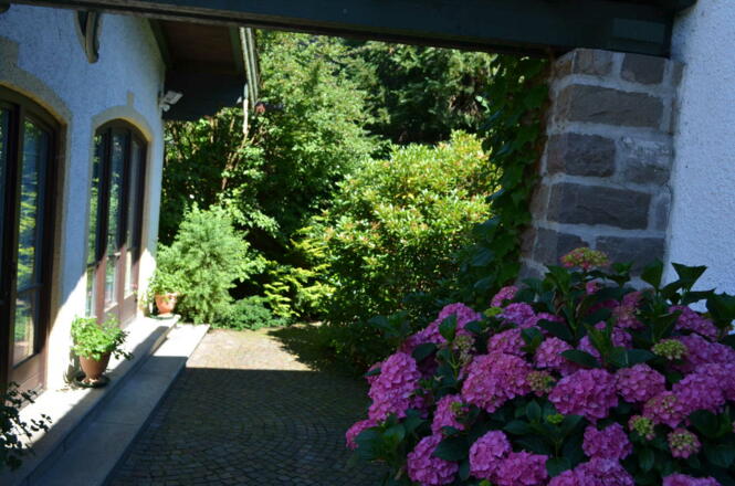 Blick von der Terrasse in RG Norden