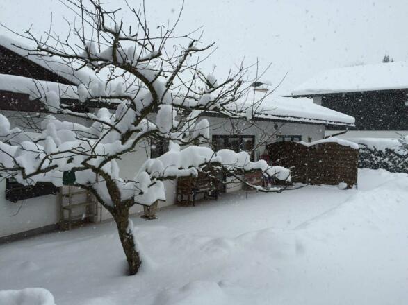 Südseite zum Wallberg