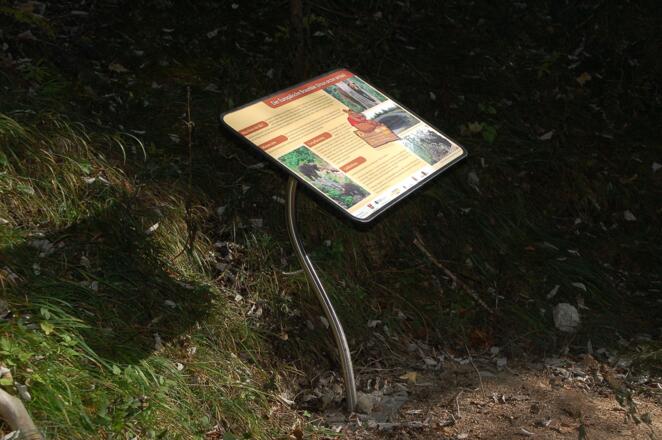 Schautafeln entlang des Bärenwegs
