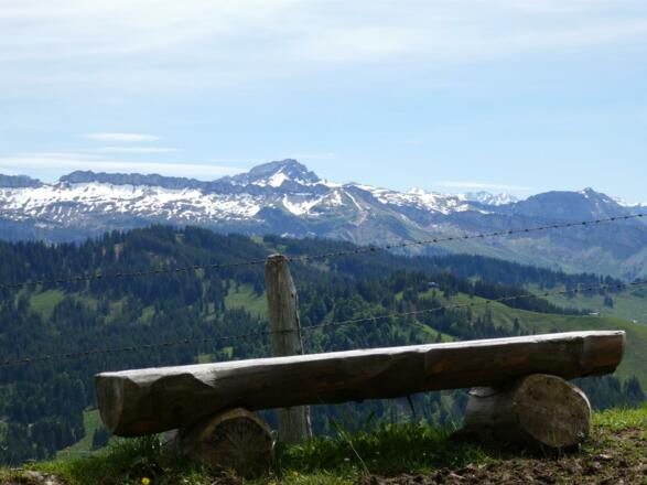 Traumhafte Panoramablicke