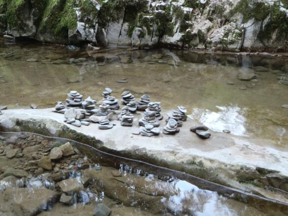 WaldWasserZauber_Hintersee