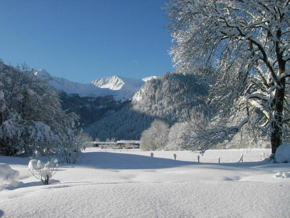 Der Blick auf Aiplspitz, Benzing und Jägerkamp von der Terrasse aus im Winter