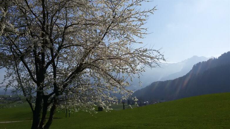 Wunderbare Aussichten