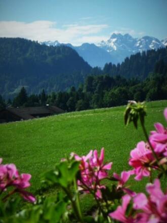 Aussicht Frauenschuh