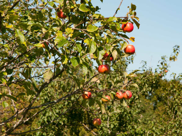 Gästehaus Unterreiterhof in Bad Wiessee - mit Traumblick über das Tegernseer Tal