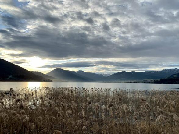 Stimmung am Seeuferweg bei Kaltenbrunn (ca. 5 min Fußweg von der FeWo)