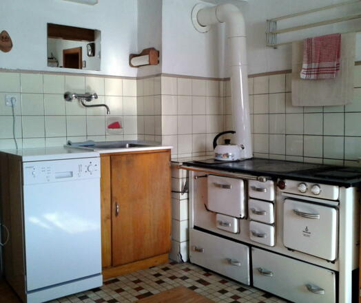 Uriger Wamsler Holzofen