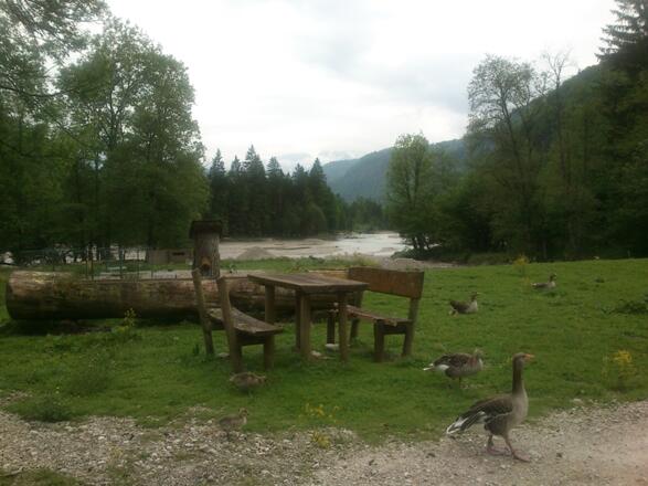 Konrad-Lorenz-Forschungsstelle