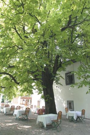 Gastgarten des Landhotel Agathawirt