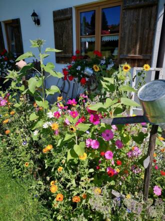 Garten am Landhof Schmid