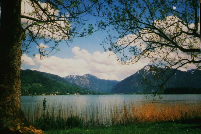 Blick von der Bad Wiesseer Seepromenade aus auf den Wallberg