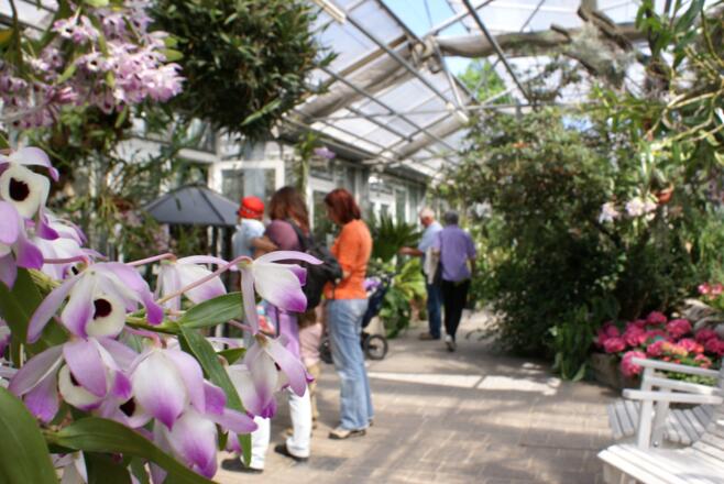 Botanischer Garten(c)LinzTourismus-Eckerstorfer.JPG