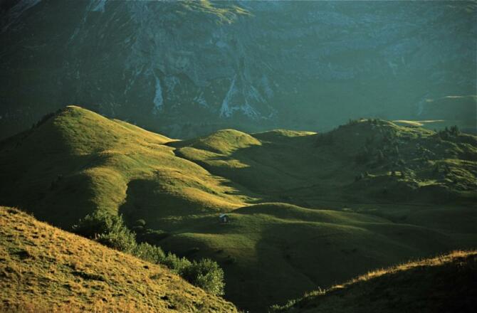 Blick auf Gaisbühelmähder