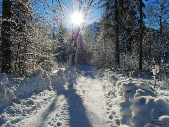Hotel garni Haus Kiefer in Bad Wiessee am Tegernsee