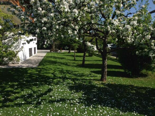 Unser schöner Garten