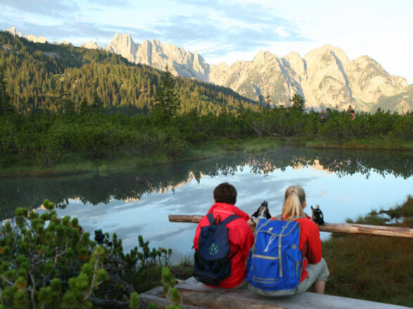 Löckermoos in Gosau