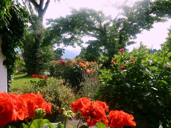 Unser verwunschenen Garten