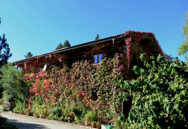Blick auf das FeWo-Gebäude im Herbst