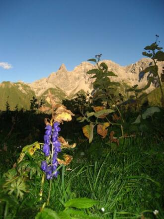 Allgäuer Bergwelt