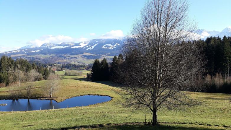 Blick aus dem Fenster