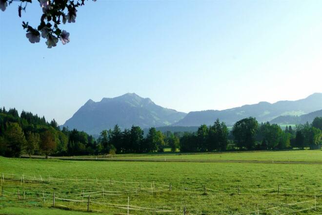 Blick auf den Grünten