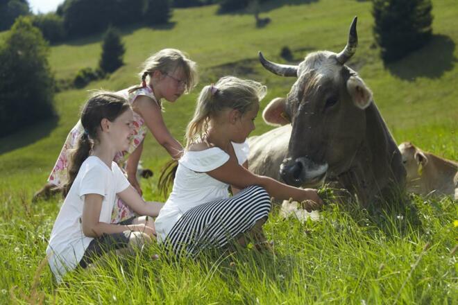 Kinder bei den Kühen