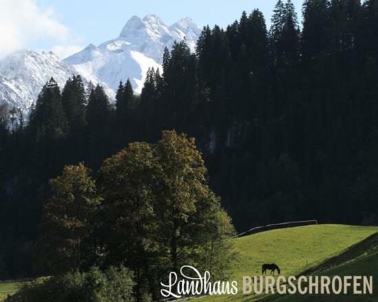 Herrenberg_Blick auf die Trettach