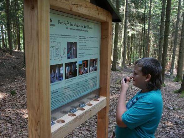 Waldschule - Duft des Waldes