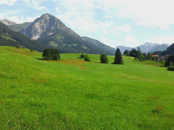 Saftige Bergwiesen rund ums Haus