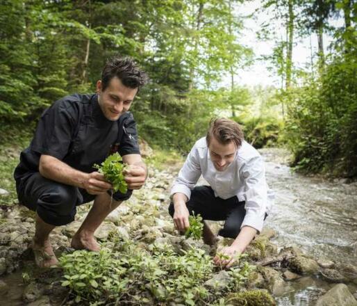 Frische Kräuter für die Küche