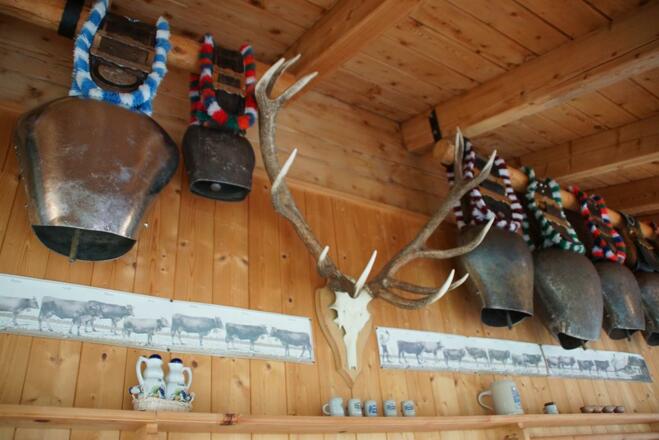 Grüße von der Alpe