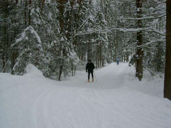 Langlaufloipen durch verschneite Wälder,