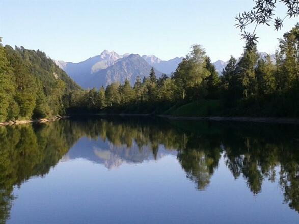 Auwaldsee in Fischen