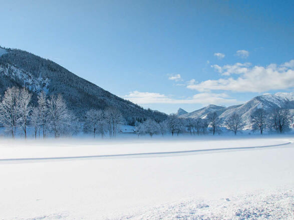 Ferienwohnungen Festlhof in Rottach-Egern am Tegernsee
