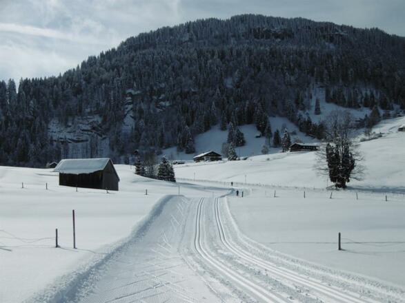Langlaufloipe direkt am Haus