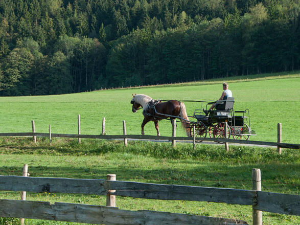 Ferienwohnungen Festlhof in Rottach-Egern am Tegernsee