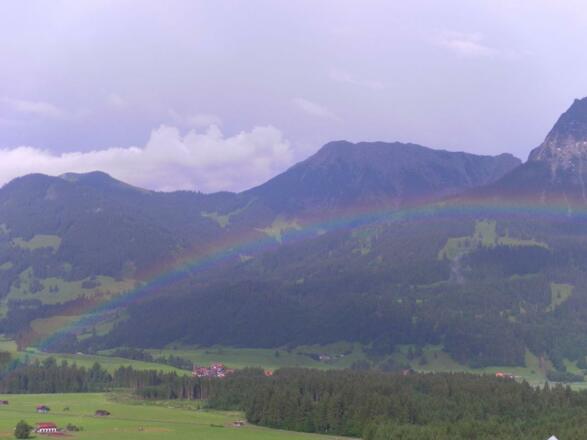 Regenbogen
